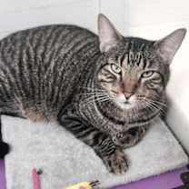 Thumbnail photo of Peter #3