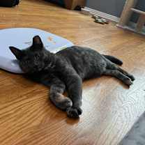 Thumbnail photo of Willow Clark #4