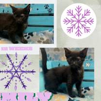 Thumbnail photo of Emily #2