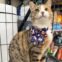 Thumbnail photo of Greta #2