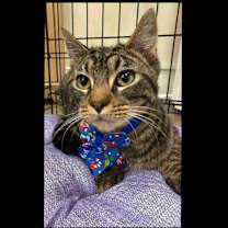 Thumbnail photo of Grant #1