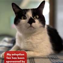 Thumbnail photo of Nona #1