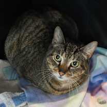 Thumbnail photo of Jethro #2