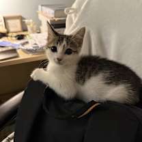 Thumbnail photo of Lucky 🍀 #1