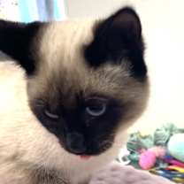 Thumbnail photo of Juni #2