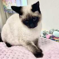 Thumbnail photo of Juni #3