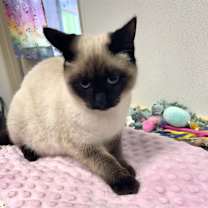 Thumbnail photo of Juni #4