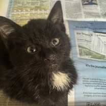 Thumbnail photo of 59966532 #1