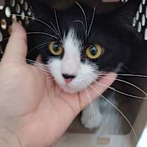 Thumbnail photo of Hex #2