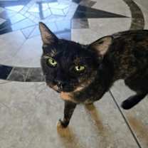 Thumbnail photo of Onica Stone #2