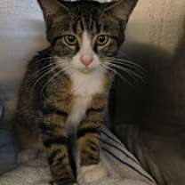 Thumbnail photo of Jasper #2