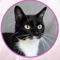 Thumbnail photo of Starburst #1