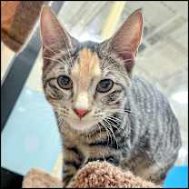 Thumbnail photo of Grave #1