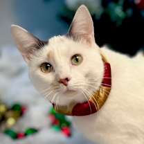 Thumbnail photo of Stella 16C25 #1