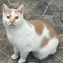 Thumbnail photo of Charlie #1