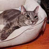 Thumbnail photo of Mitch #4