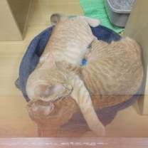 Thumbnail photo of Mine #4