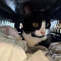 Thumbnail photo of Andie Walsh #1