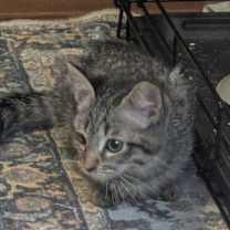 Thumbnail photo of CIDER #3