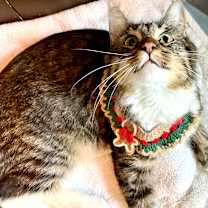 Thumbnail photo of Marie #3