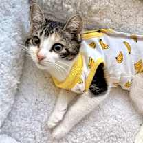 Thumbnail photo of Molly #4