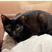 Thumbnail photo of Loretta #4