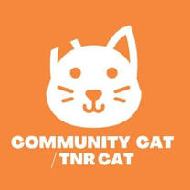 Thumbnail photo of 58844524 #2