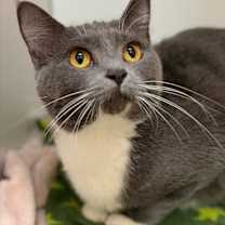 Thumbnail photo of Journey #1