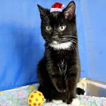 Thumbnail photo of Valentin #2