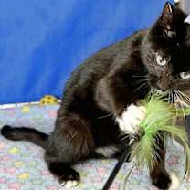 Thumbnail photo of Valentin #3