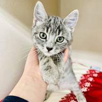 Thumbnail photo of PB #4