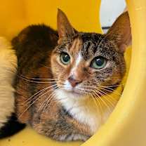 Thumbnail photo of Evelina #2