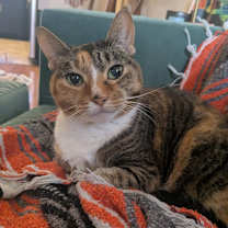 Thumbnail photo of Evelina #4