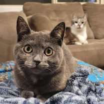 Thumbnail photo of Sarah #1