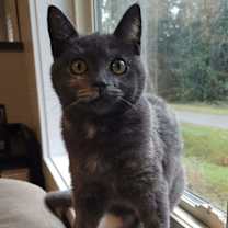 Thumbnail photo of Sarah #3