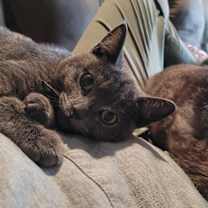 Thumbnail photo of Sarah #4