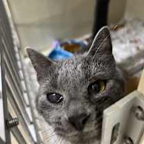 Thumbnail photo of Sweets #3