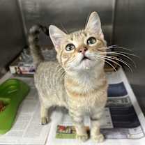 Thumbnail photo of Monica #1