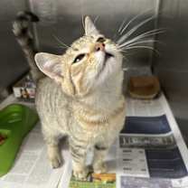 Thumbnail photo of Monica #2