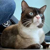 Thumbnail photo of Broc #1