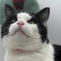 Thumbnail photo of Plinko #2