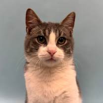 Thumbnail photo of Isaiah #2