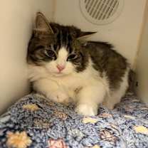 Thumbnail photo of Sprout #2