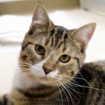 Thumbnail photo of Logan #1