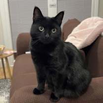 Thumbnail photo of Philomena #4