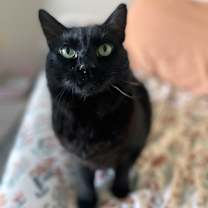 Thumbnail photo of Bits #3