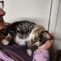 Thumbnail photo of Jeanie Beanie #3