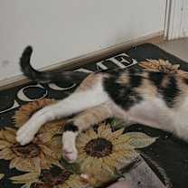 Thumbnail photo of Catherine #2