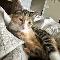 Thumbnail photo of IRMA #2