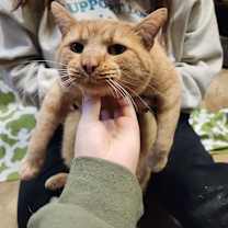 Thumbnail photo of Sunball #3